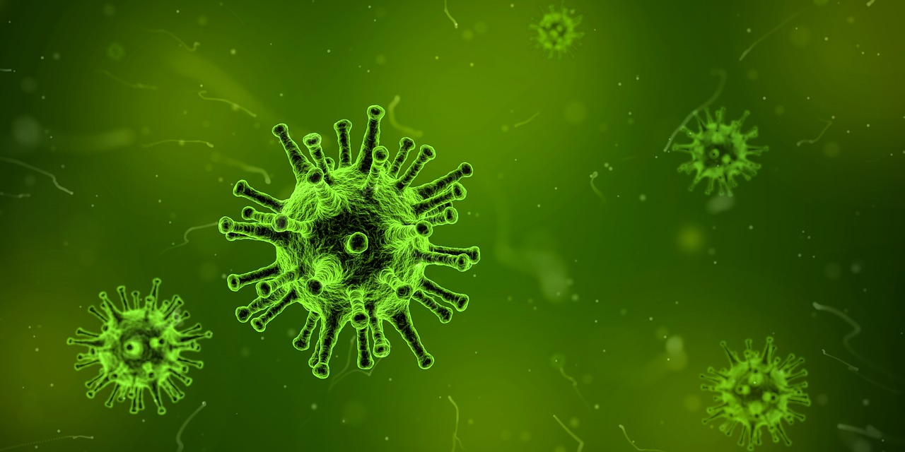 Η μάχη ενάντια στο κρυολόγημα και τη γρίπη